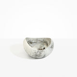 Dinosaur Designs Large Beetle Bowl in Granite Colour resin