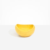 Large Beetle Bowl