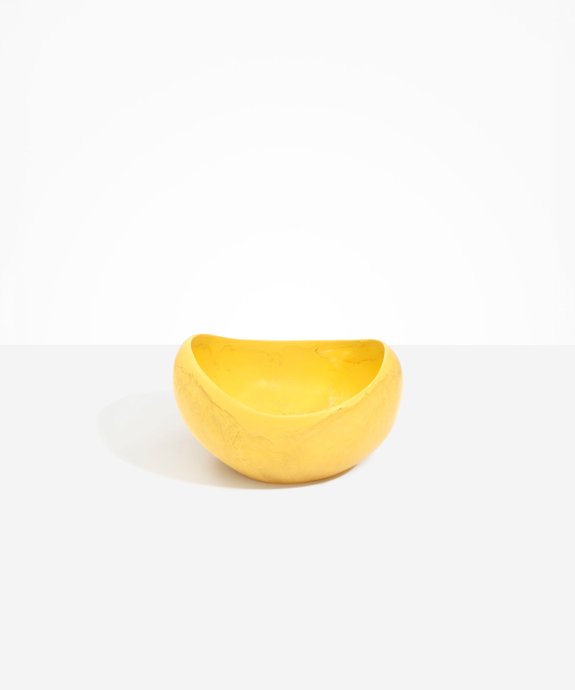 Large Beetle Bowl