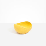 Large Beetle Bowl