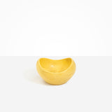Medium Beetle Bowl