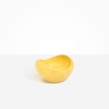 Medium Beetle Bowl