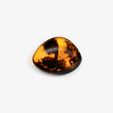Dinosaur Designs Small Leaf Bowl in Tortoise — handcrafted marbled transparent amber and black resin bowl with curved organic form