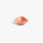 Dinosaur Designs Petal Dessert Bowl in Rust — handcrafted marbled terracotta red and cream resin bowl with curved form and pinched organic rim