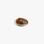 Dinosaur Designs Bones Dish in Cappuccino — small handcrafted brown and cream marbled resin trinket dish with organic form...