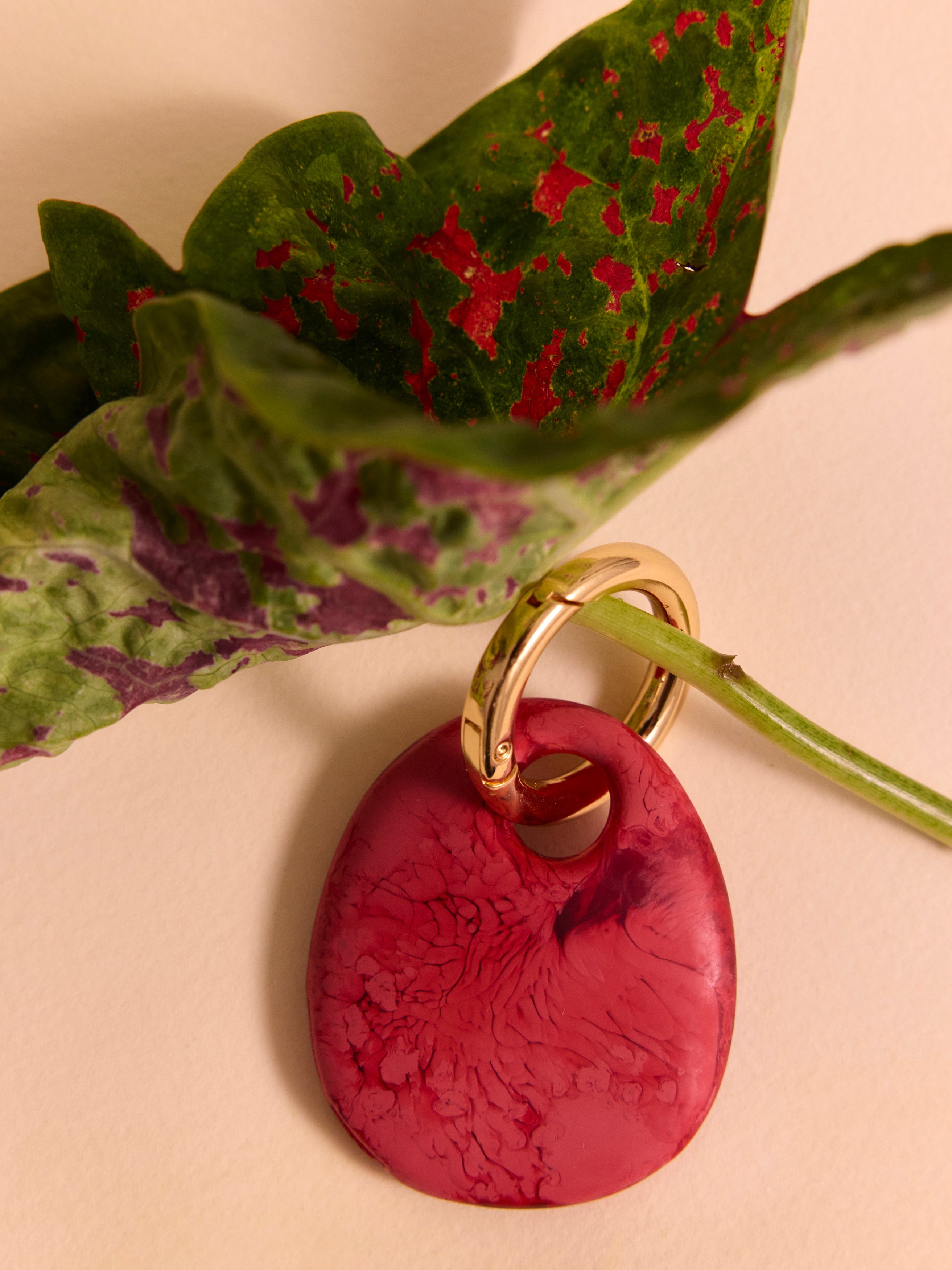 Dinosaur Designs red coloured resin keyring on brass jump ring