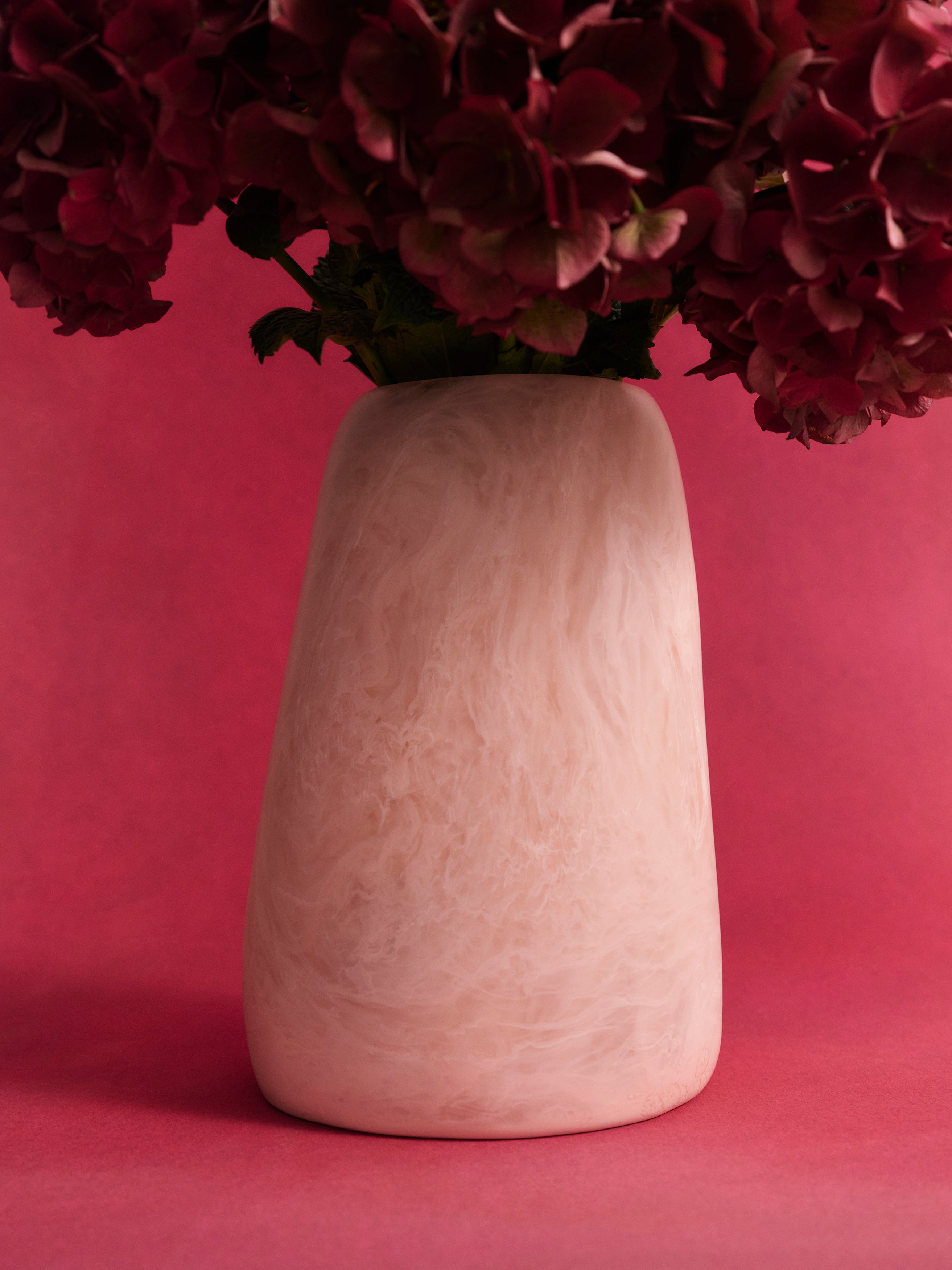 Pink vase with deep pink flowers on a pink background