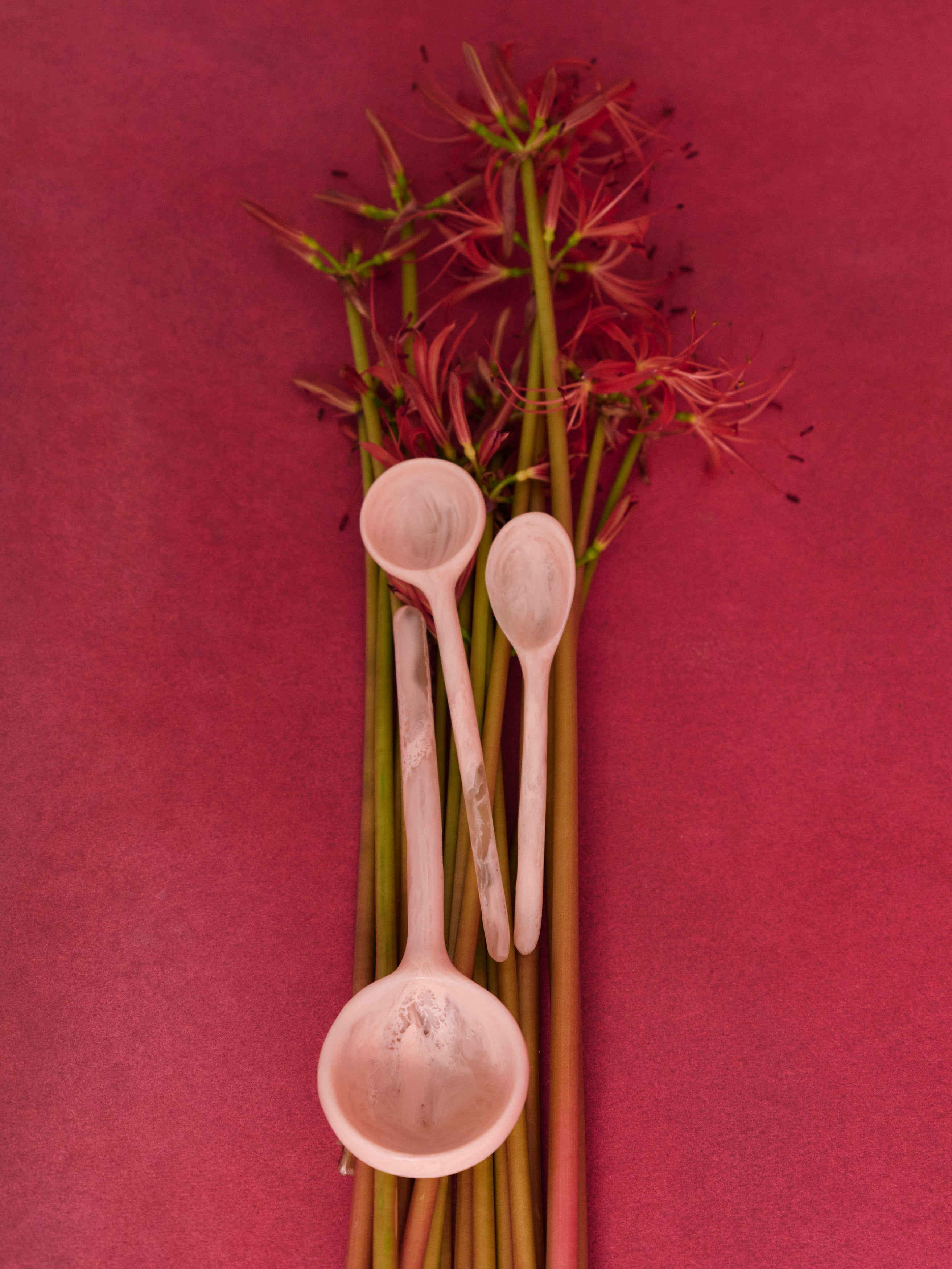 Dinosaur Designs small and medium pink coloured resin spoons