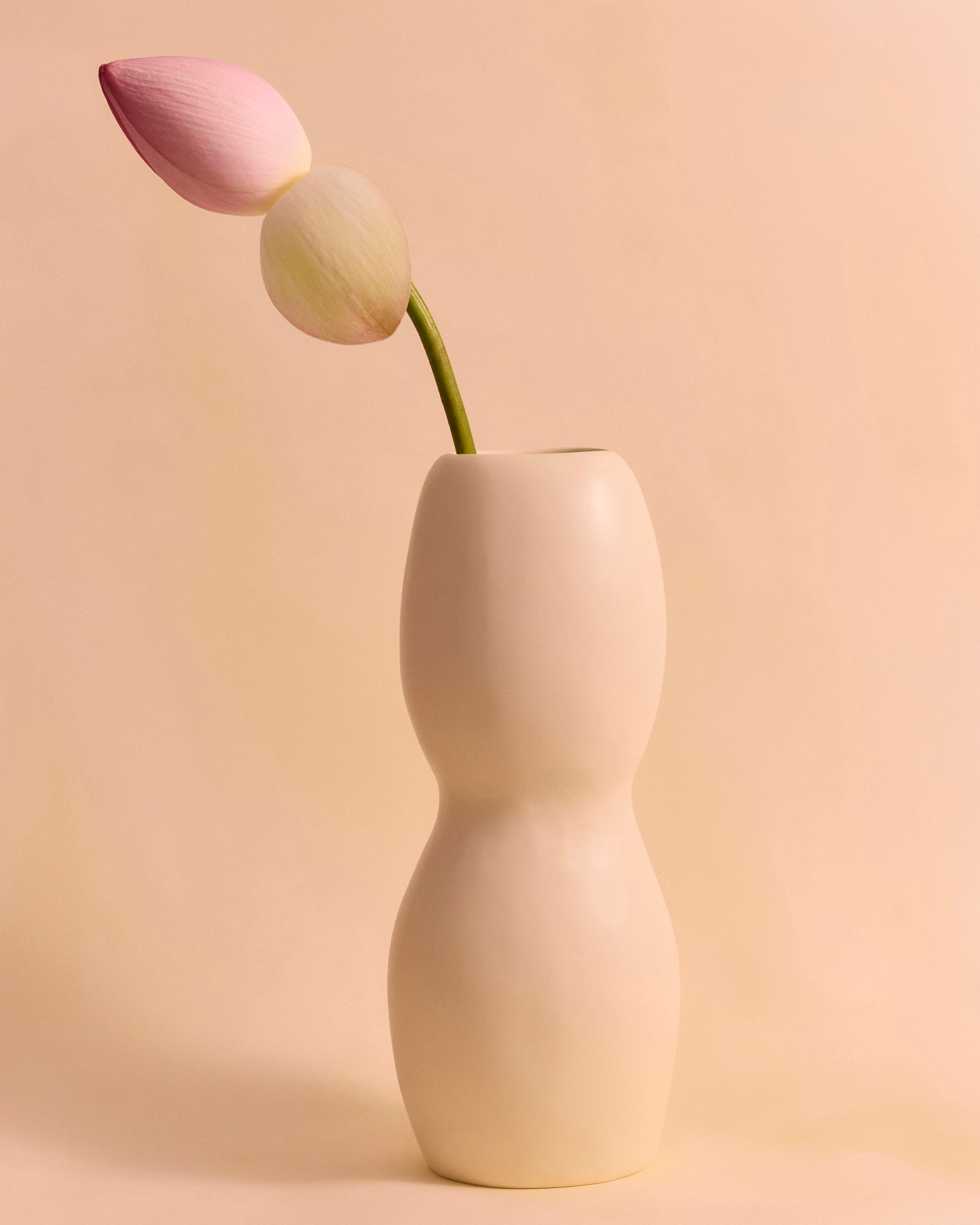 Cream coloured organic shaped vase with a single stem 