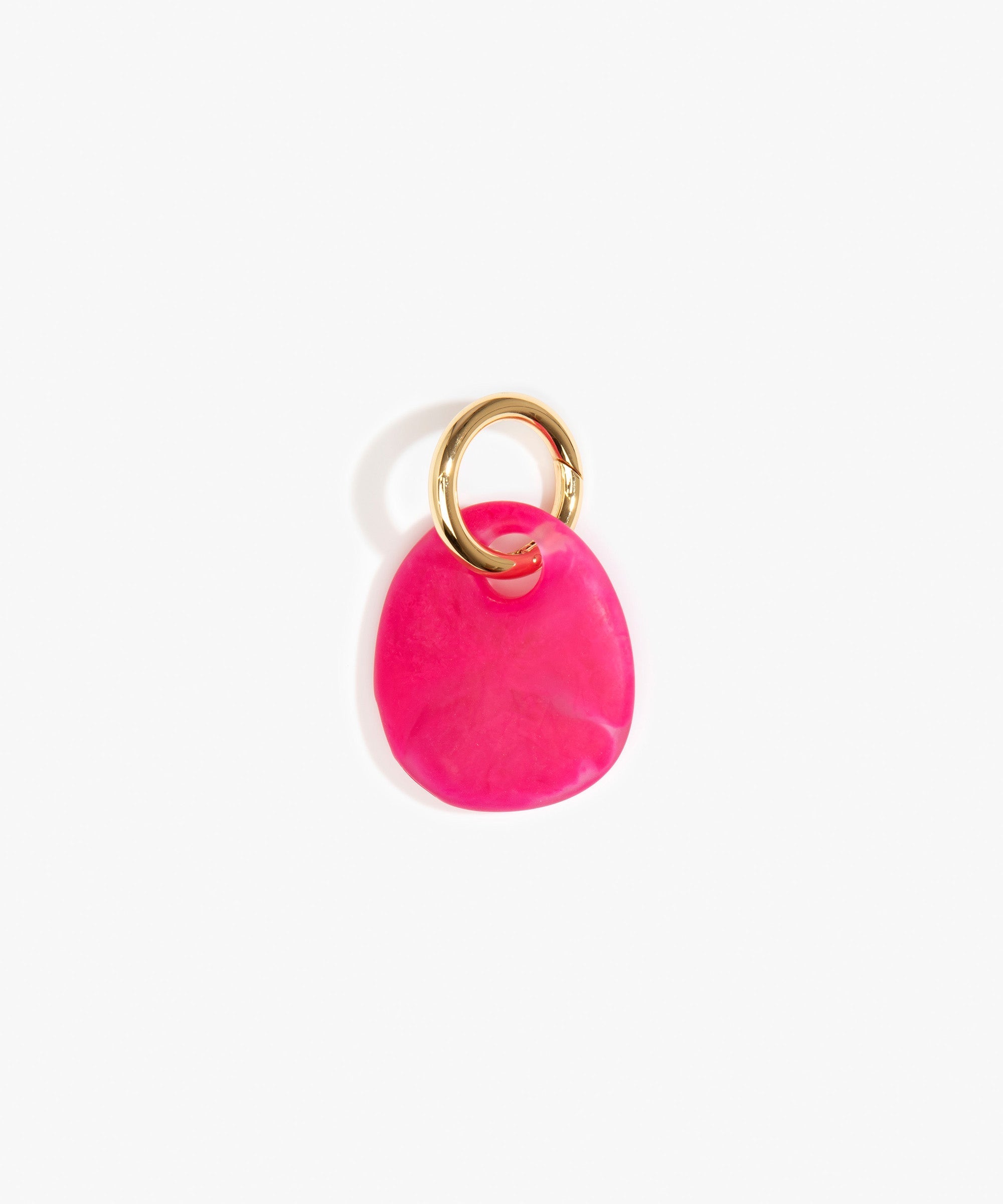 Dinosaur Designs Earth Keyring Keychains in Flamingo Colour resin with Brass Metal