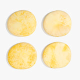 Dinosaur Designs MISTEMCST Temple Coaster DAISY