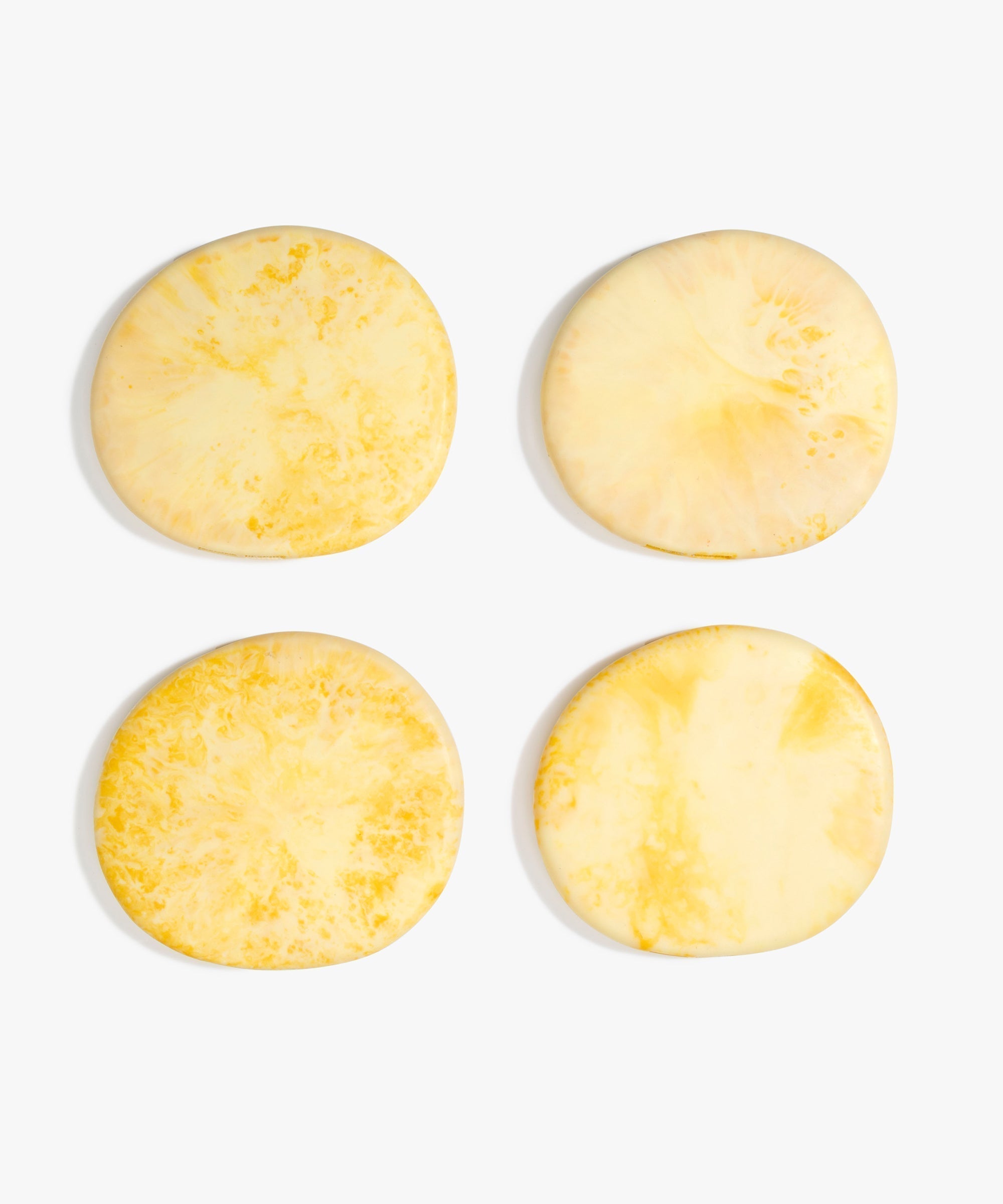 Dinosaur Designs MISTEMCST Temple Coaster DAISY