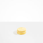 Dinosaur Designs MISTEMCST Temple Coaster DAISY