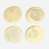 Dinosaur Designs MISTEMCST Temple Coaster LEMON