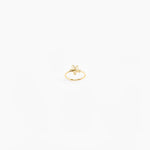 Dinosaur Designs Louise Olsen Small Daisy Ring. Brass band ring with flower-shaped charm..