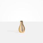 Dinosaur Designs Medium Metal Liquid Vase Vases in Brass Material resin