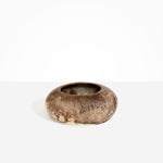 Dinosaur Designs VASRCKFLT Flat Rock Vase CAPPUCCINO.