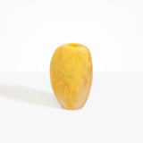 Dinosaur Designs VASSSBOLD Bold Skipping Stone Vase POLLEN