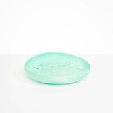 Dinosaur Designs Large Earth Bowl Bowls in Mint Colour resin