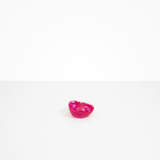 Dinosaur Designs Flow Spice Dish in Flamingo Colour resin