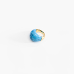 Dinosaur Designs Large Horn Ring Rings in Sky Colour resin with Nano-Coated Brass Material