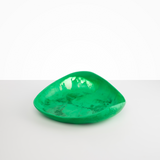 Dinosaur Designs Large Leaf Bowl in Leaf Colour resin