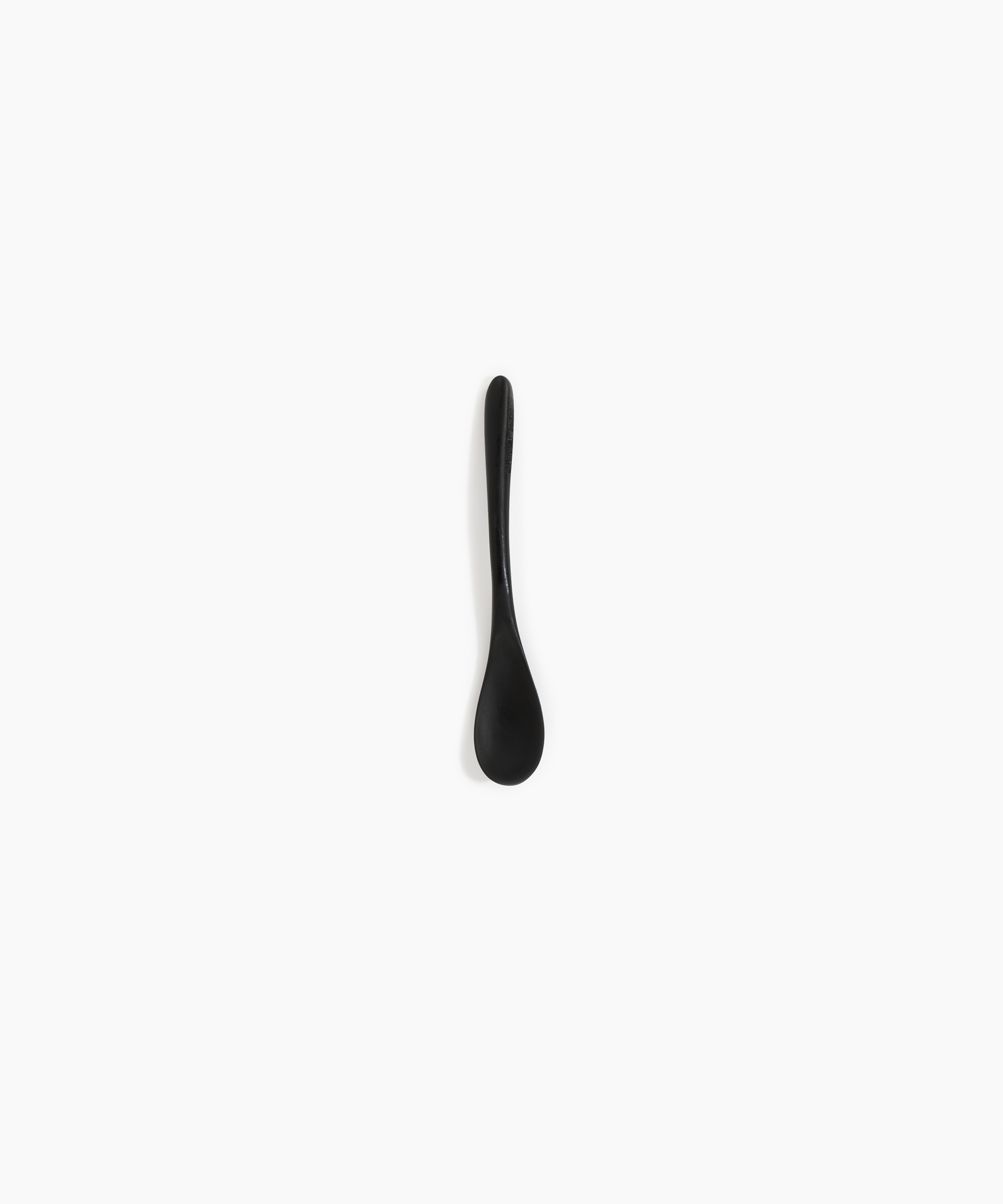 Dinosaur Designs Shell Spoon Tableware in Black Colour resin 