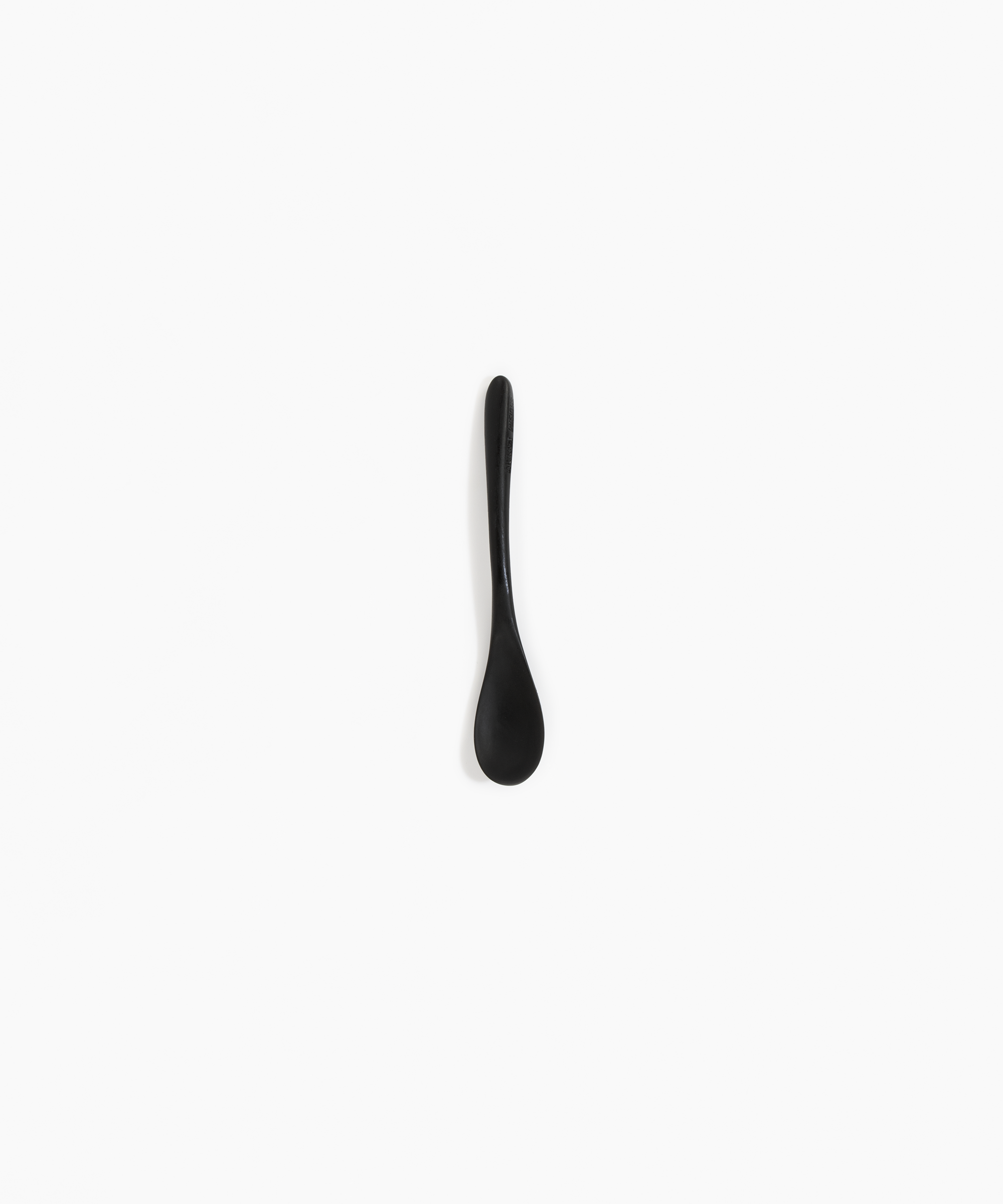 Dinosaur Designs Shell Spoon in Black Colour resin.