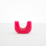 Dinosaur Designs Small Branch Vase in Flamingo Colour resin