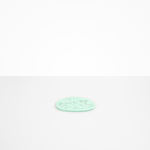 Dinosaur Designs Temple Side Plate in Mint Colour resin..
