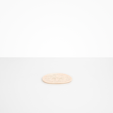 Dinosaur Designs Temple Side Plate in Rose Swirl Colour resin