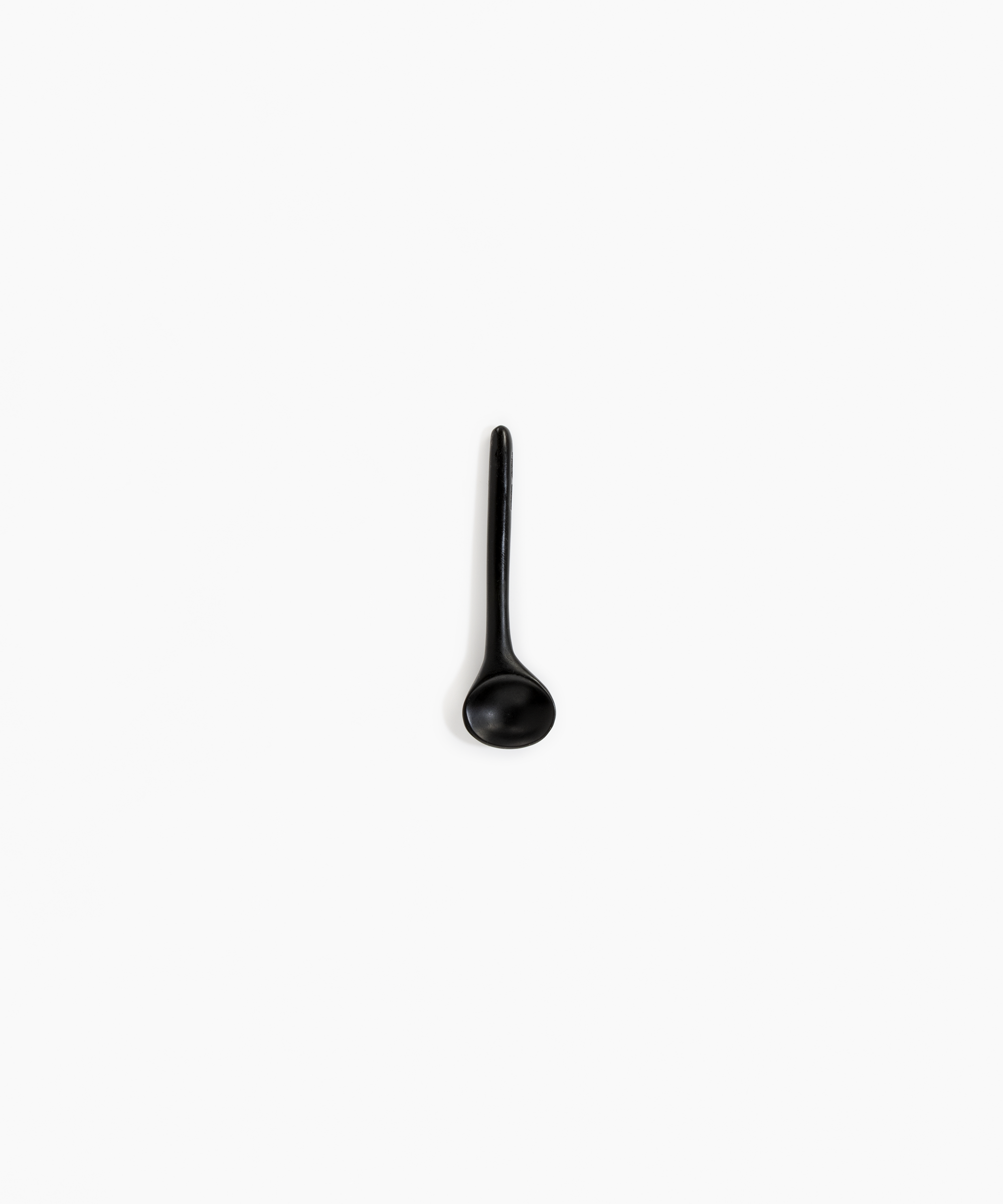 Dinosaur Designs Temple Spoon in Black Colour resin..