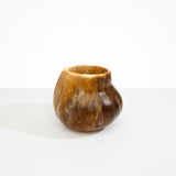 Dinosaur Designs Large Moss Vase Light Horn..