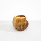 Dinosaur Designs Large Moss Vase in Light Horn Colour resin..
