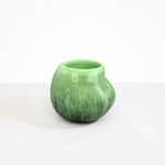 Dinosaur Designs Large Moss Vase Moss..