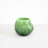 Dinosaur Designs Large Moss Vase Moss..