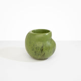 Dinosaur Designs Large Moss Vase in Olive Colour resin..