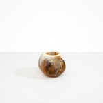 Dinosaur Designs Medium Moss Vase Light Horn...
