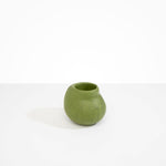 Dinosaur Designs Medium Moss Vase in Olive Colour resin..