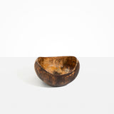 Large Beetle Bowl