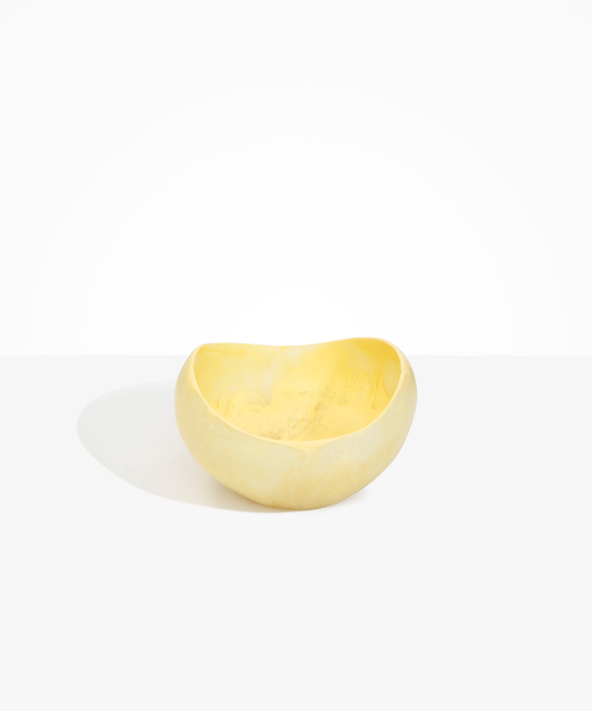 Large Beetle Bowl