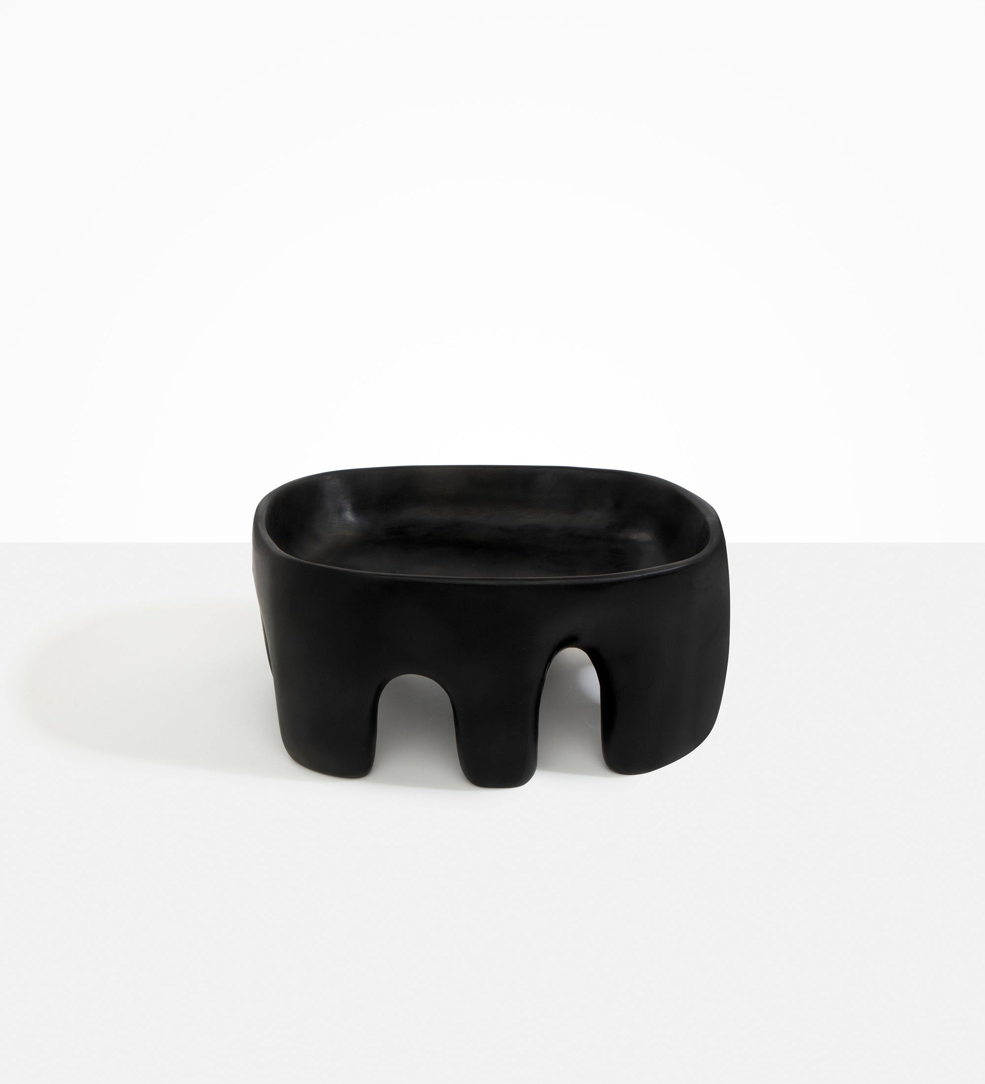 Dinosaur Designs Large Branch Bowl Bowls in Black Colour resin