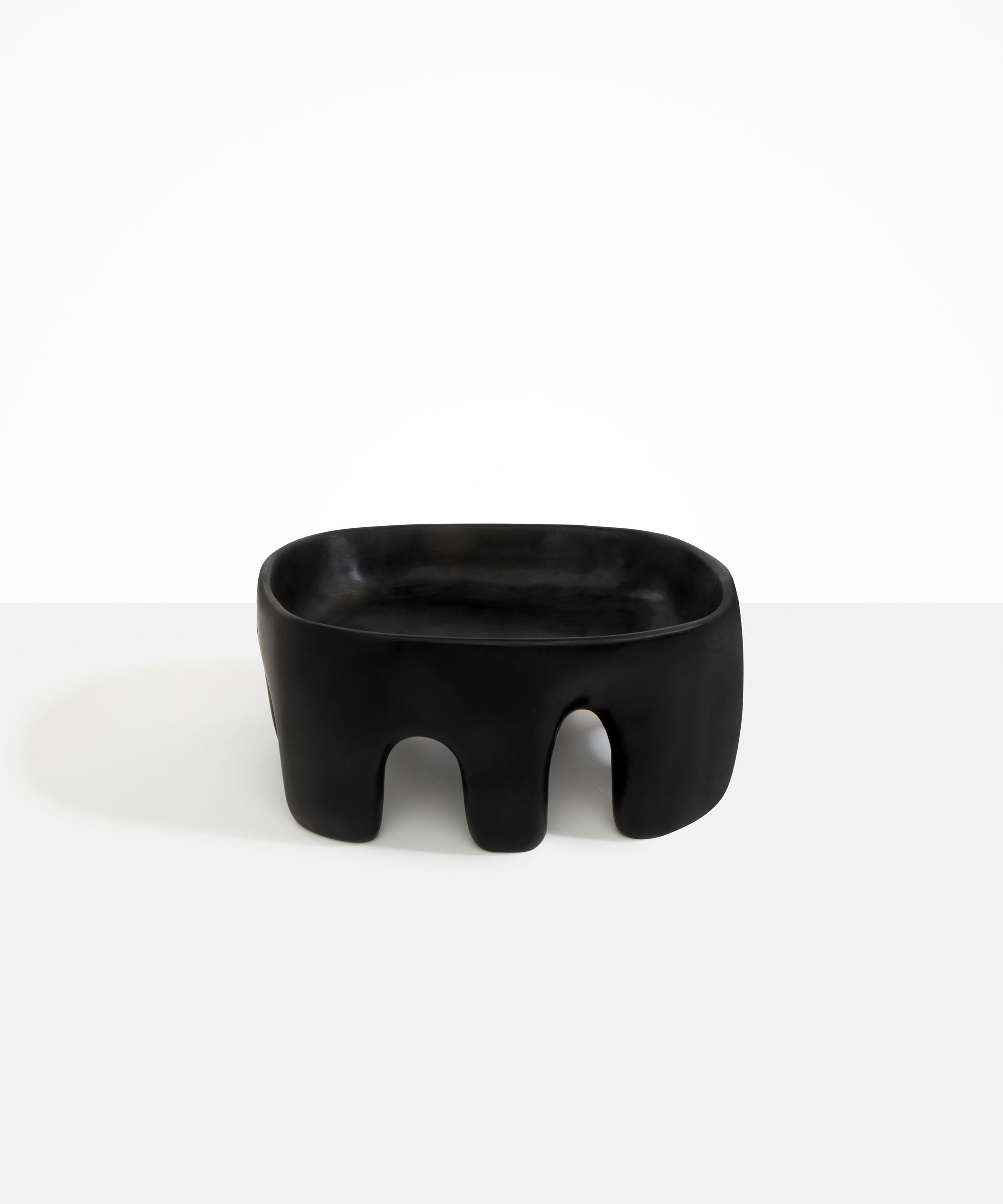 Dinosaur Designs Large Branch Bowl in Black Colour resin.
