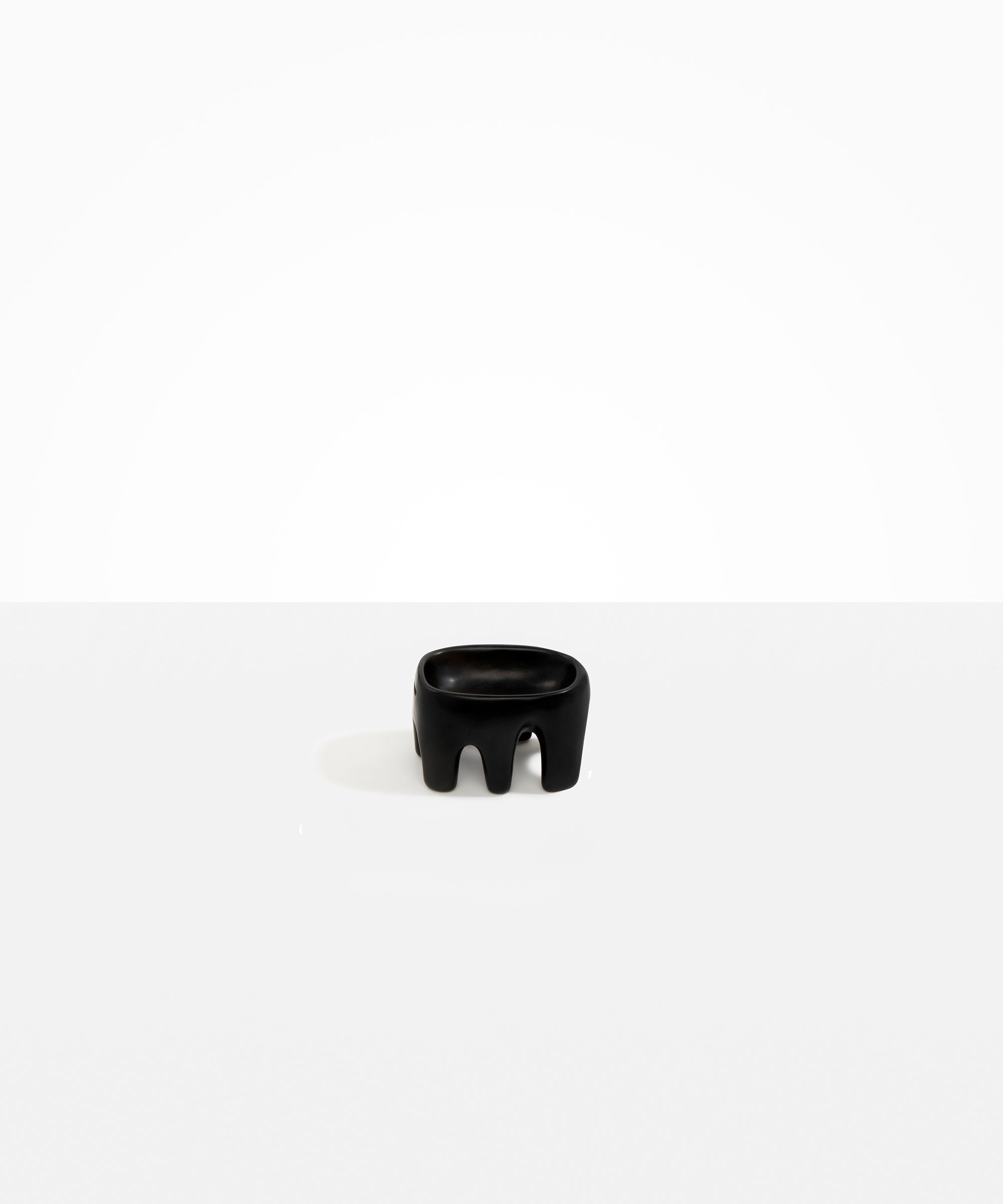Dinosaur Designs Small Branch Bowl in Black Colour resin..