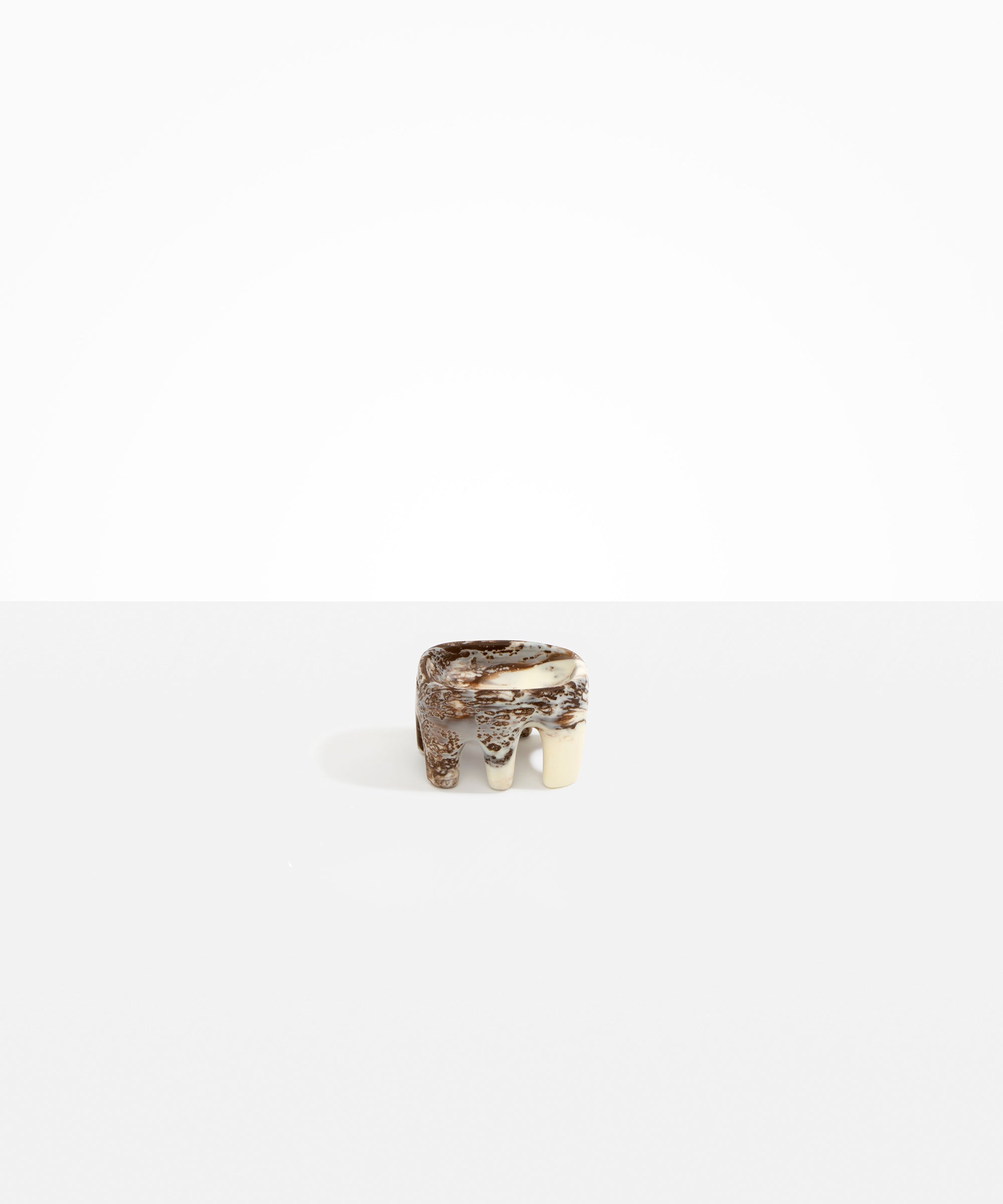 Dinosaur Designs Small Branch Bowl in Cappuccino Colour resin