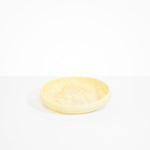 Dinosaur Designs Medium Earth Bowl in Lemon Colour resin