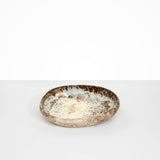 Dinosaur Designs Medium Earth Bowl in Cappuccino Colour resin