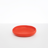 Dinosaur Designs Medium Earth Bowl Bowls in Coral Pop Colour resin