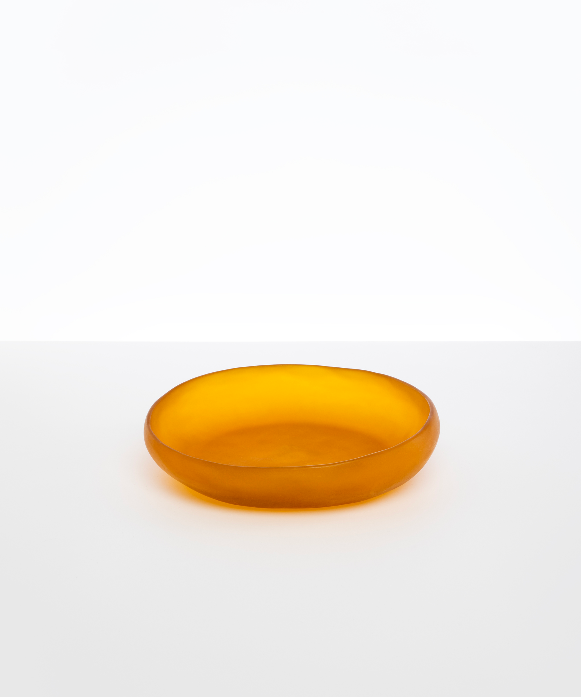 Dinosaur Designs Medium Earth Bowl Bowls in Honey Colour resin