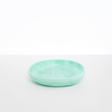 Dinosaur Designs Medium Earth Bowl Bowls in Mint Colour resin